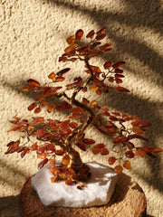 Bonsai Glücksbaum Lebensbaum Geldbaum aus Bernstein IV 16 cm Handmade Feng Shui Deko