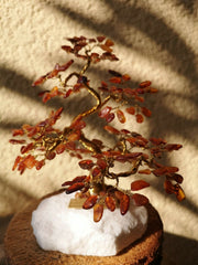 Bonsai Glücksbaum Lebensbaum Geldbaum aus Bernstein IV 16 cm Handmade Feng Shui Deko